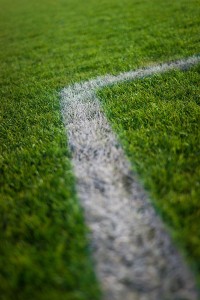 IMG_1331a